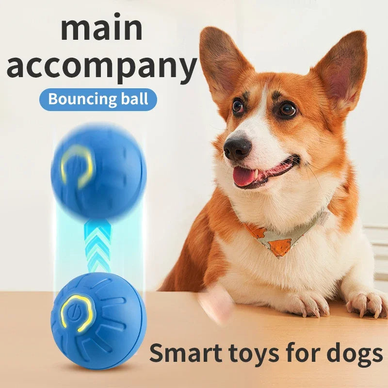 AI CONTROLLED BOUNCING  BALL  FOR YOUR PET                                 4.0  ⭐⭐⭐⭐(408)