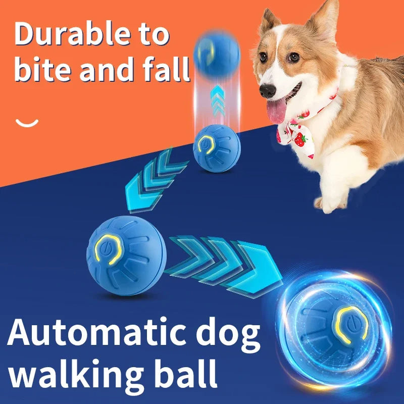 AI CONTROLLED BOUNCING  BALL  FOR YOUR PET